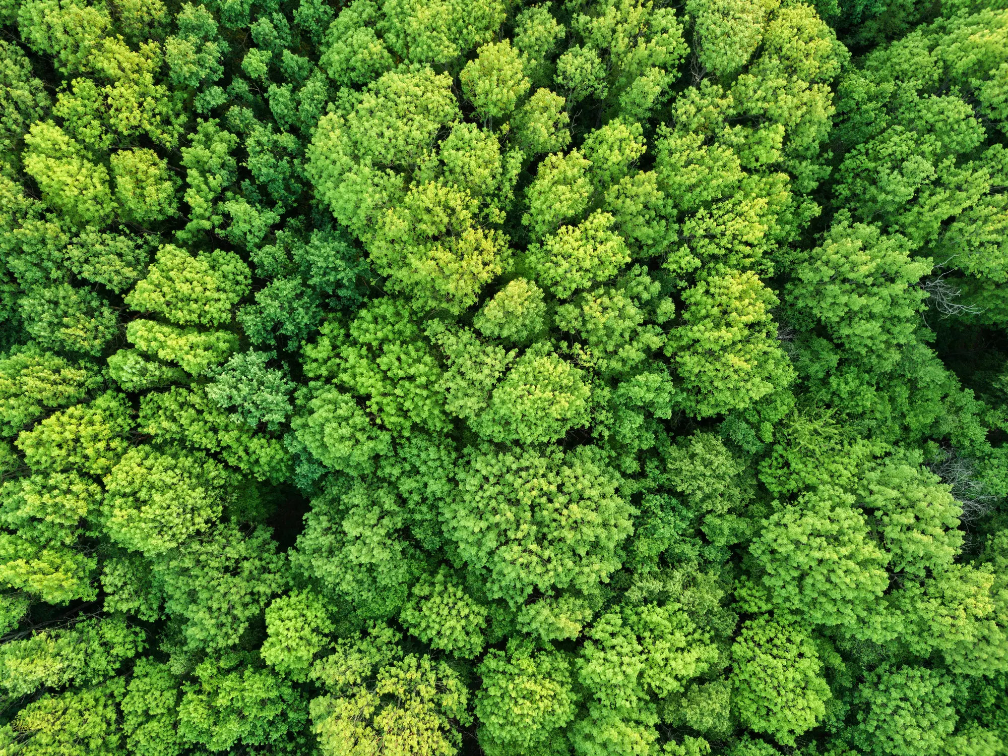 Xycles sustainability